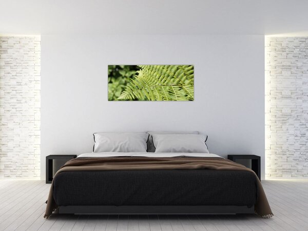 Tablou - Frunză de ferigă (120x50 cm)