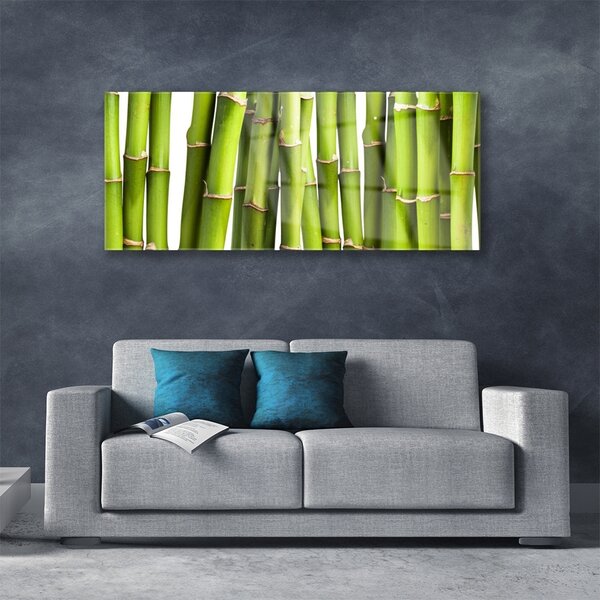 Tablou pe sticla Bamboo Canes Floral Verde