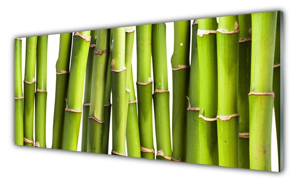 Tablou pe sticla Bamboo Canes Floral Verde