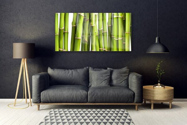 Tablou pe sticla Bamboo Canes Floral Verde