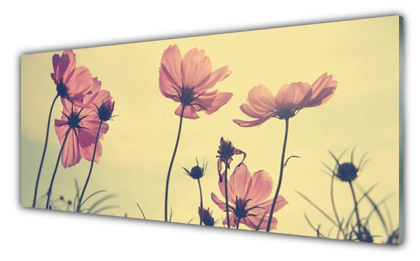 Tablou pe sticla Flori roz Floral