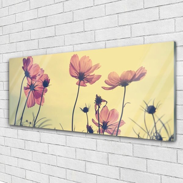 Tablou pe sticla Flori roz Floral