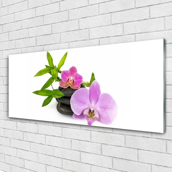 Tablou pe sticla Pietrele florale flori roz negru