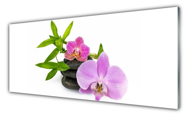 Tablou pe sticla Pietrele florale flori roz negru
