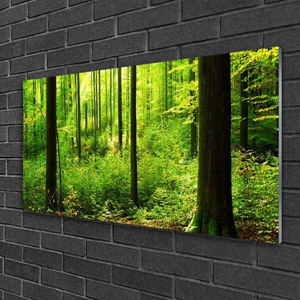 Tablou pe sticla Natural Pădurea Verde Maro