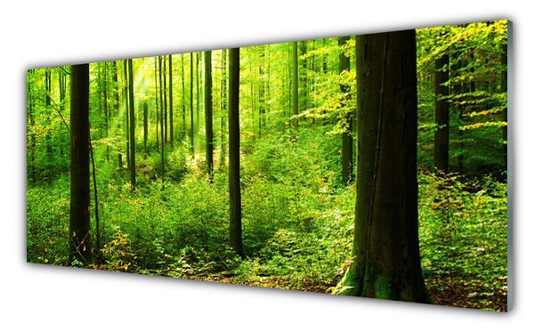 Panou sticla bucatarie Natural Pădurea Verde Maro