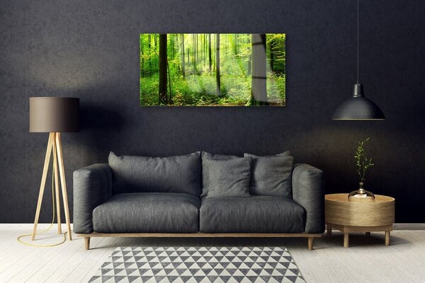 Tablou pe sticla Natural Pădurea Verde Maro