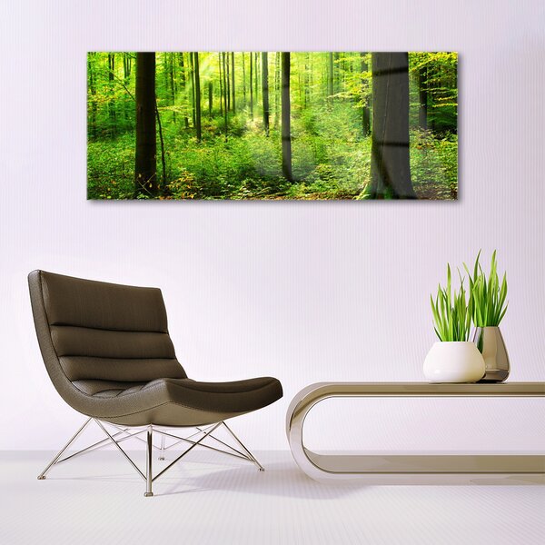Tablou pe sticla Natural Pădurea Verde Maro