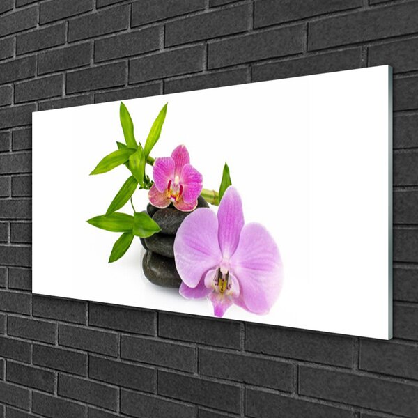 Tablou pe sticla Pietrele florale flori roz negru