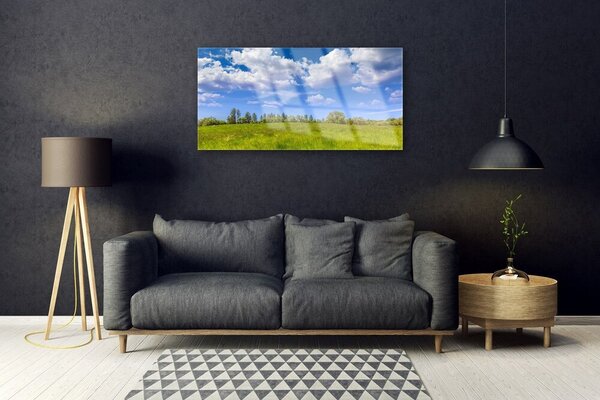 Tablou pe sticla Meadow Grass Peisaj verde