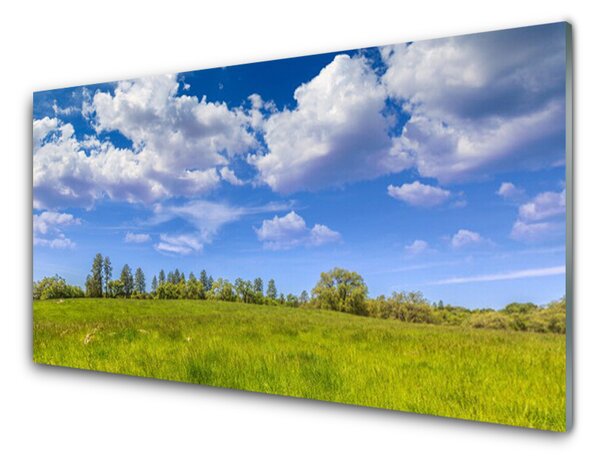 Tablou pe sticla Meadow Grass Peisaj verde