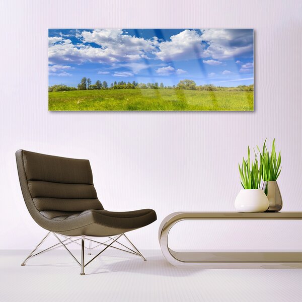 Tablou pe sticla Meadow Grass Peisaj verde