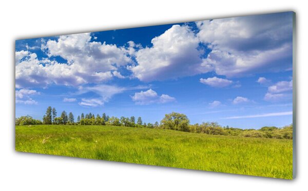 Panou sticla bucatarie Meadow Grass Peisaj verde