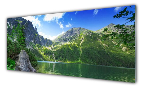Panou sticla bucatarie Mountain Lake Natura Gri Verde