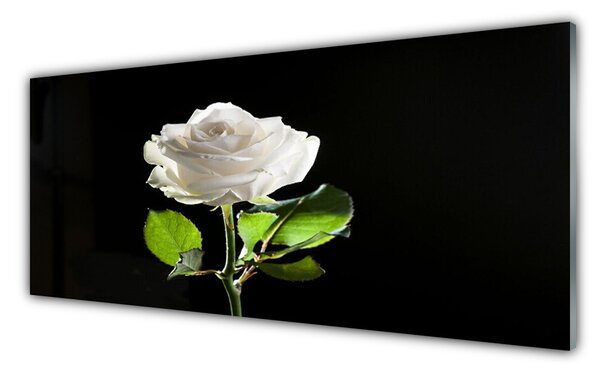 Tablou pe sticla Rose Floral alb