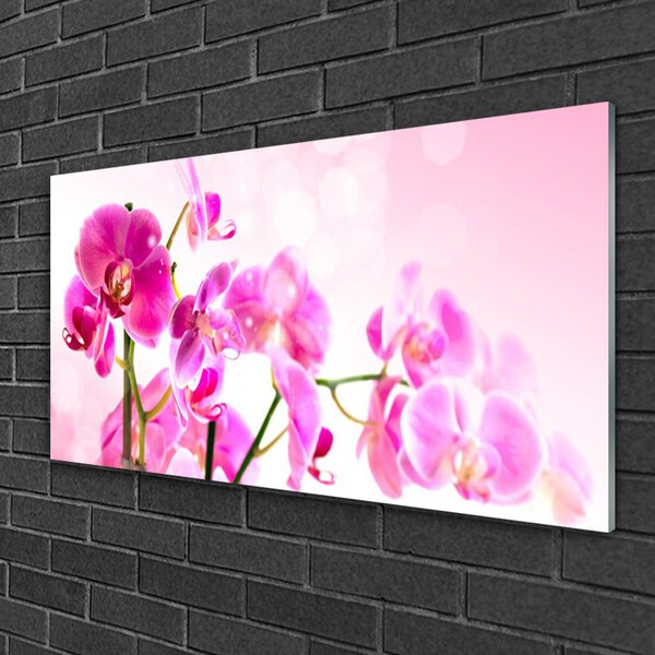 Tablou pe sticla Flori roz Floral