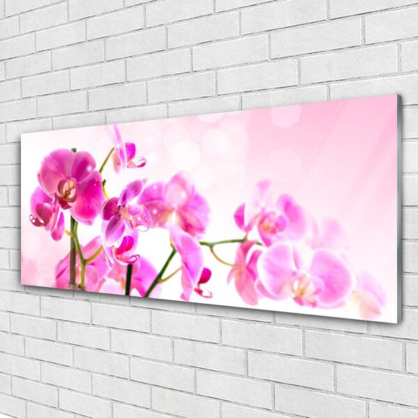 Tablou pe sticla Flori roz Floral