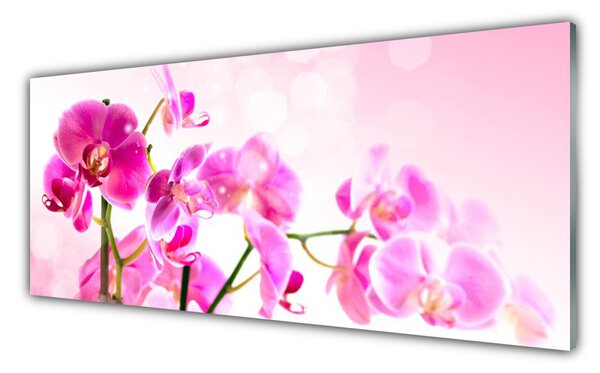 Tablou pe sticla Flori roz Floral