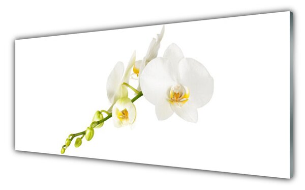Tablou pe sticla Flori Floral alb