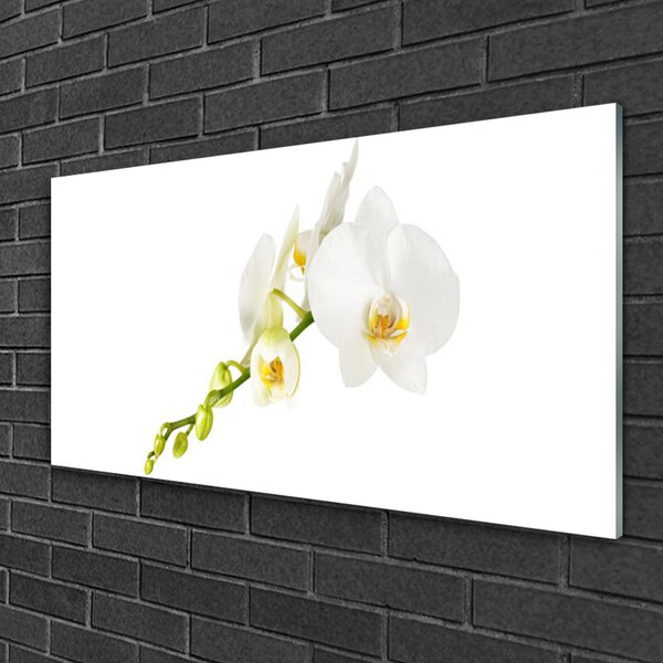Tablou pe sticla Flori Floral alb