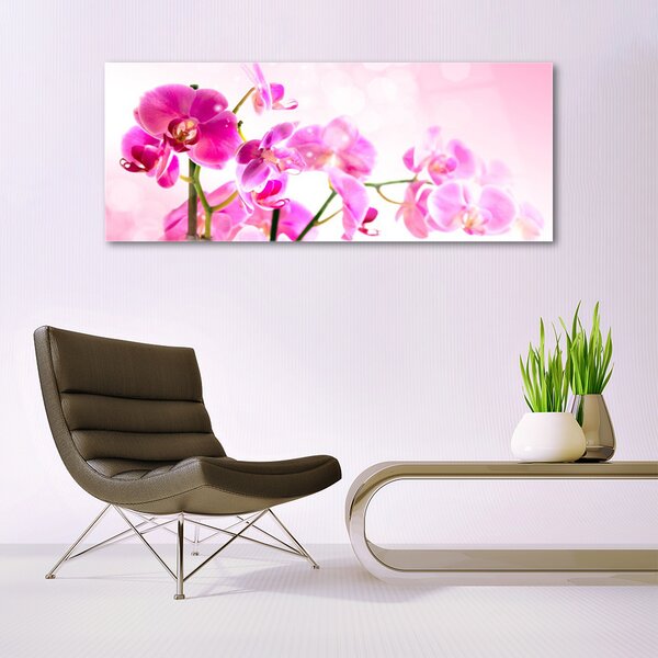 Tablou pe sticla Flori roz Floral