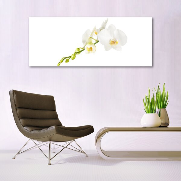 Tablou pe sticla Flori Floral alb
