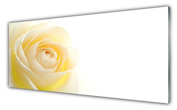 Tablou pe sticla Rose Floral Alb Galben