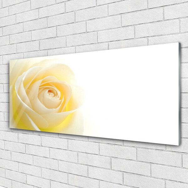 Tablou pe sticla Rose Floral Alb Galben