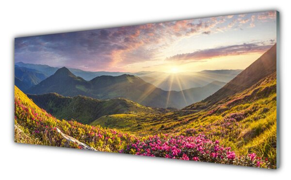 Tablou pe sticla Mountain Meadow Sun Peisaj Gri Albastru Galben Verde Roșu