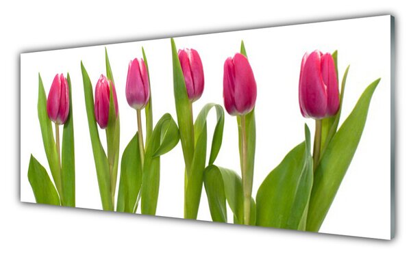 Tablou pe sticla Lalele Floral Red