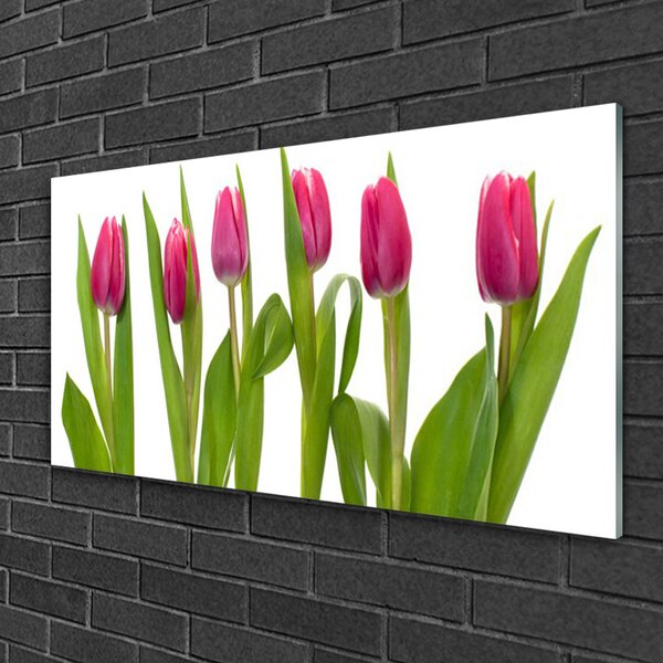 Tablou pe sticla Lalele Floral Red