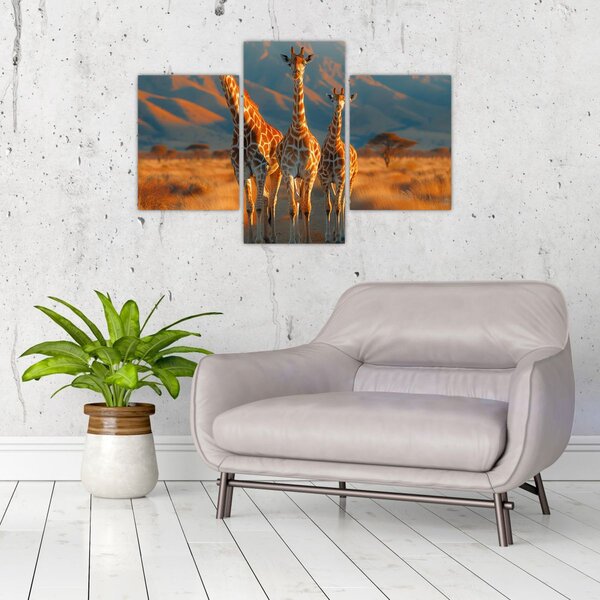 Tablou - Girafe pe pășune (90x60 cm)