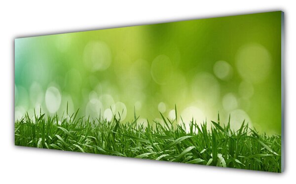 Tablou pe sticla Weed Natura verde