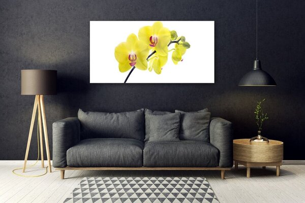 Tablou pe sticla Flori Floral Verde