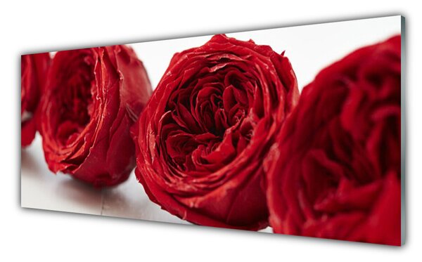 Tablou pe sticla Trandafiri Floral Red