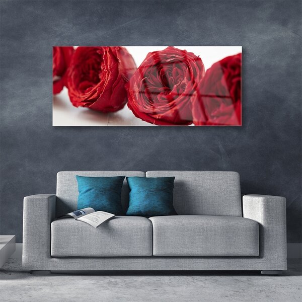 Tablou pe sticla Trandafiri Floral Red