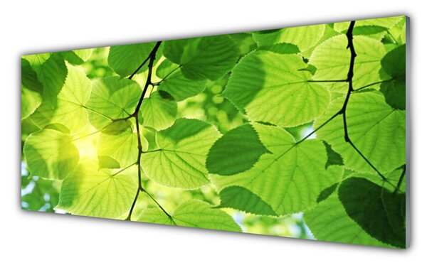 Tablou pe sticla Frunze Floral Verde Maro