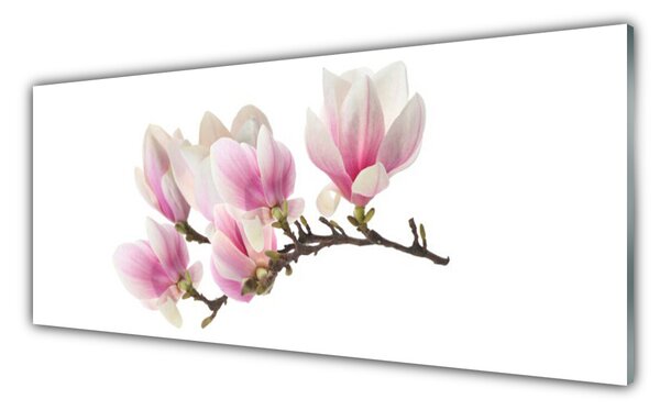 Tablou pe sticla Flori Floral Roz Alb