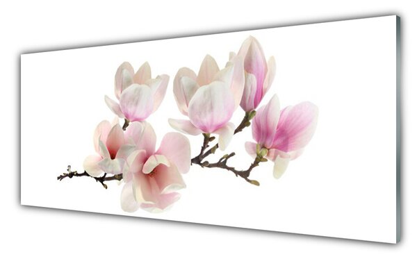 Tablou pe sticla Flori Floral Roz Alb