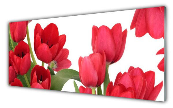Tablou pe sticla Lalele Floral Red