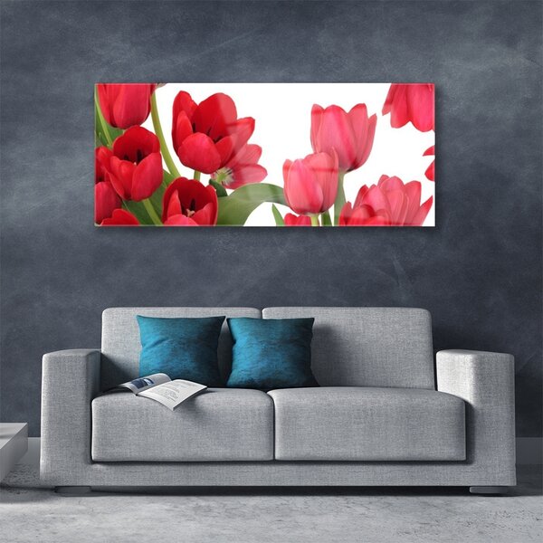 Tablou pe sticla Lalele Floral Red