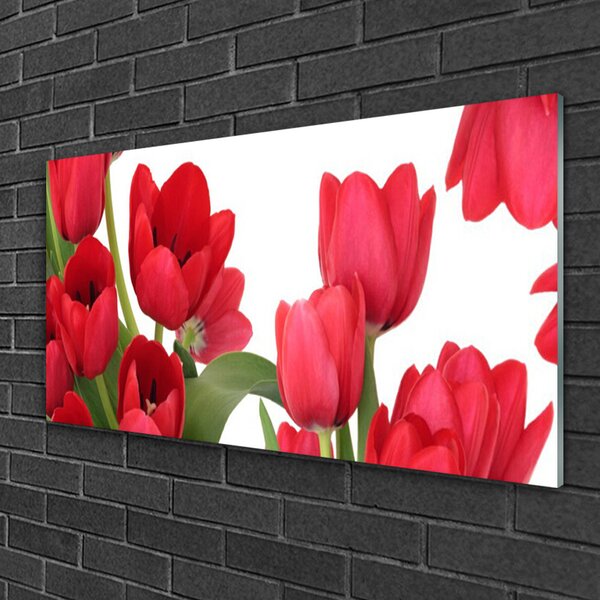 Tablou pe sticla Lalele Floral Red