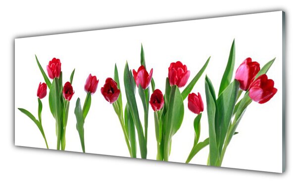 Tablou pe sticla Lalele Floral Red