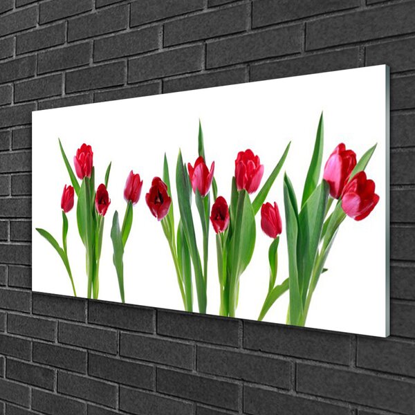 Tablou pe sticla Lalele Floral Red