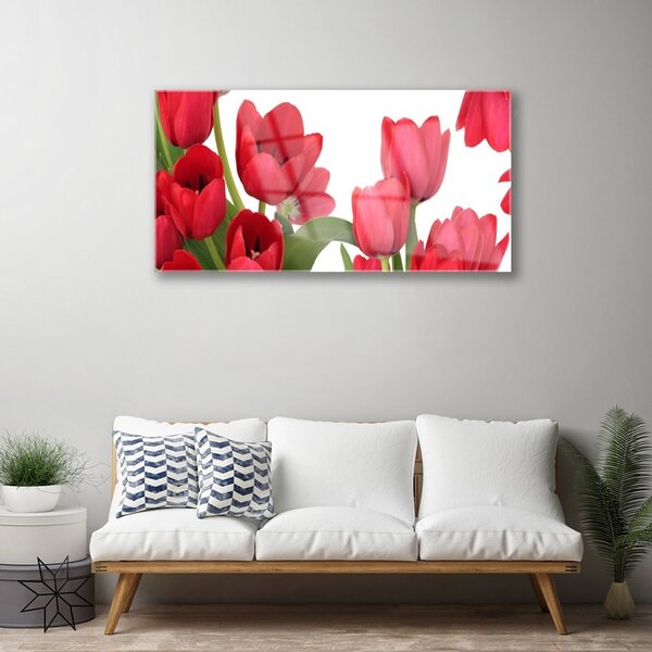 Tablou pe sticla Lalele Floral Red