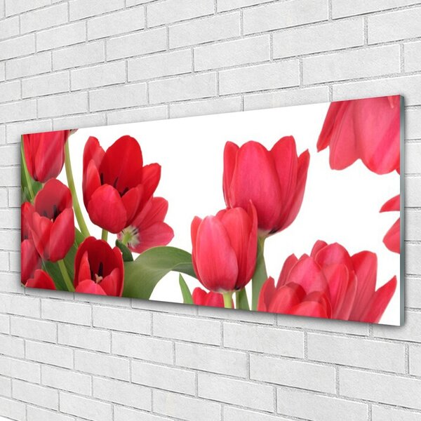 Tablou pe sticla Lalele Floral Red