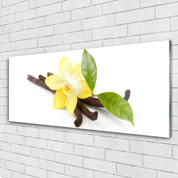 Tablou pe sticla Frunze de vanilie Floral Brun Galben Verde