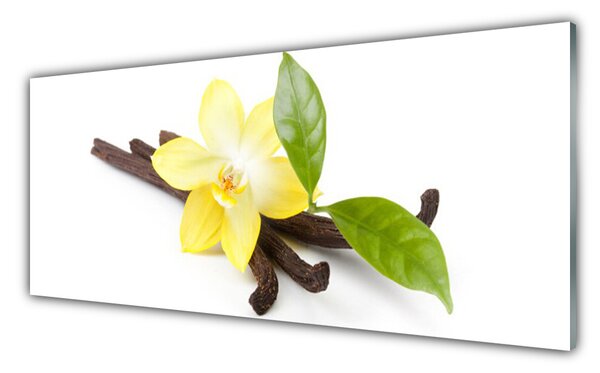 Tablou pe sticla Frunze de vanilie Floral Brun Galben Verde