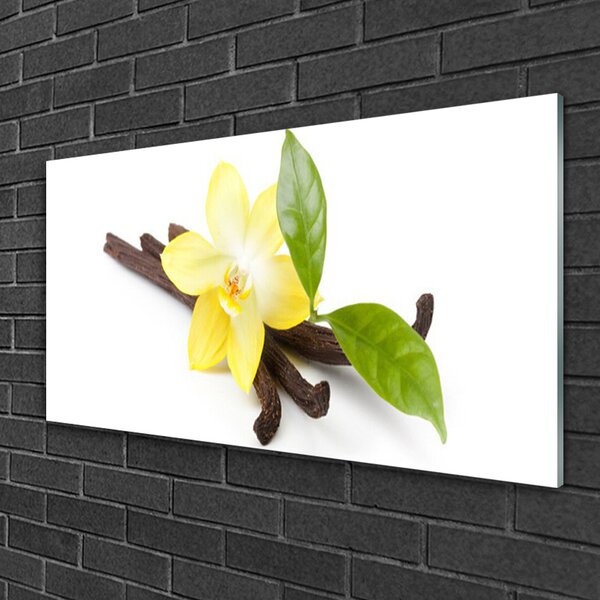 Tablou pe sticla Frunze de vanilie Floral Brun Galben Verde