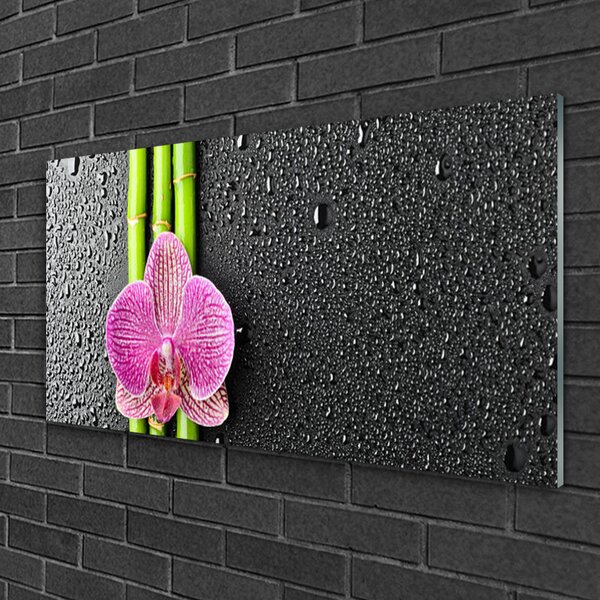 Tablou pe sticla Bamboo Tube floare verde florale roz